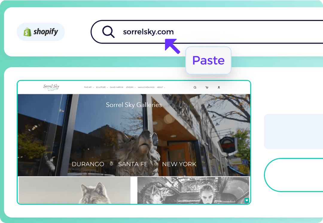 enter any shopify store url into zik’s shopify theme detector