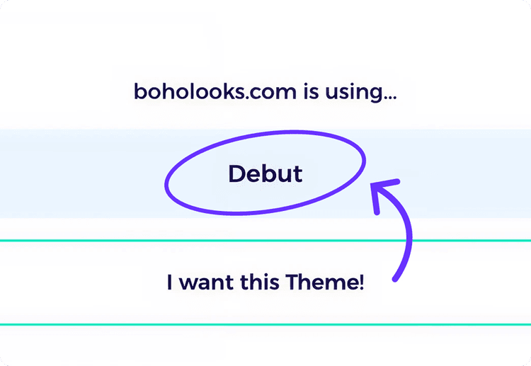 see results what shopify theme the store is using