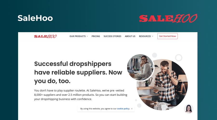 salehoo dropshipping supplier