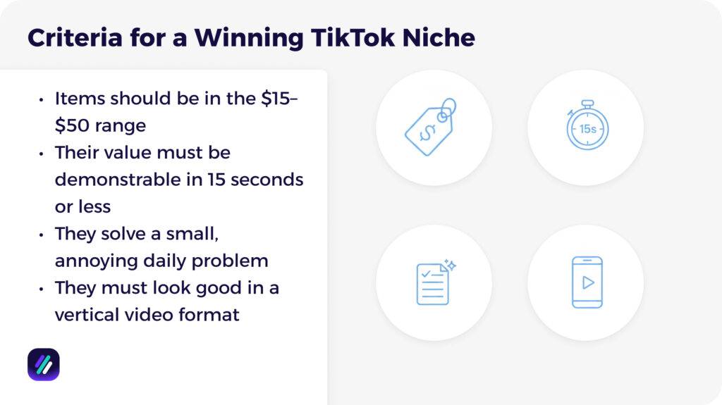 Criteria for a Winning TikTok Niche