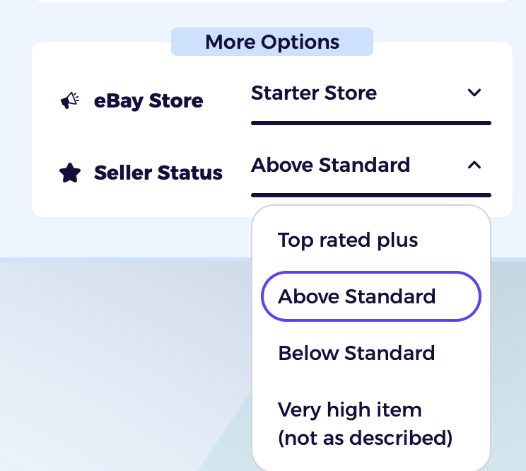 adjust seller status and your ebay seller subscription and