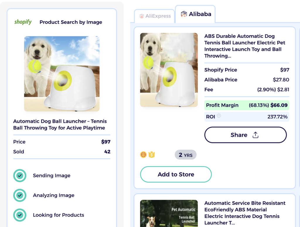 automatic ball launcher best dropshipping dog products