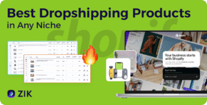 best dropshipping products