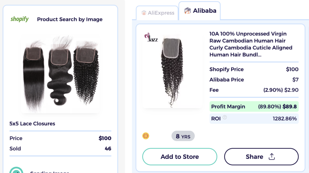 closures dropshipping hair products shopify product explorer