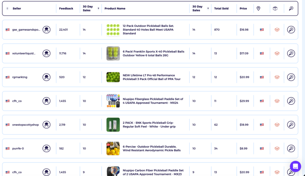 list of pickle ball ebay products and their corresponding sales information