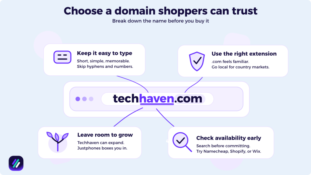 selecting domain for dropshipping website